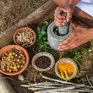 ayurveda